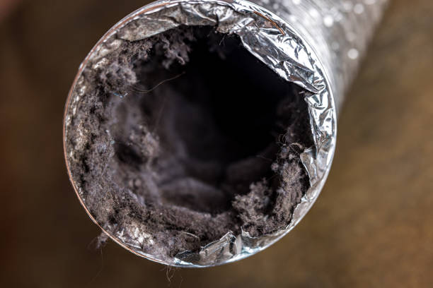 Best Residential Air Duct Cleaning  in Kuna, ID